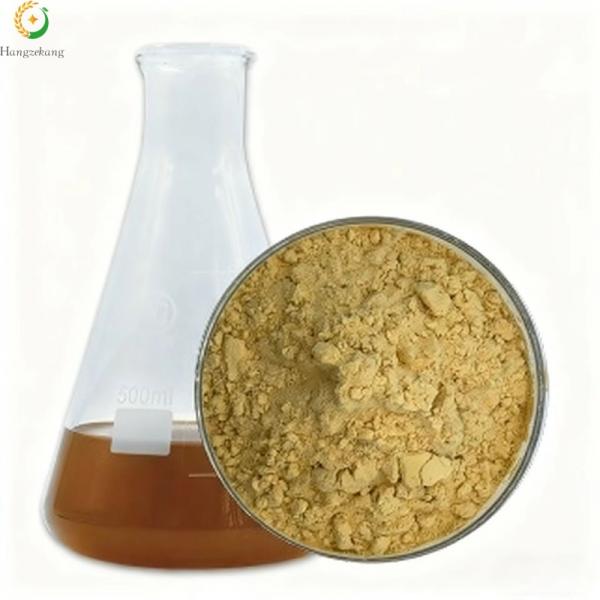 chitosan oligosaccharide